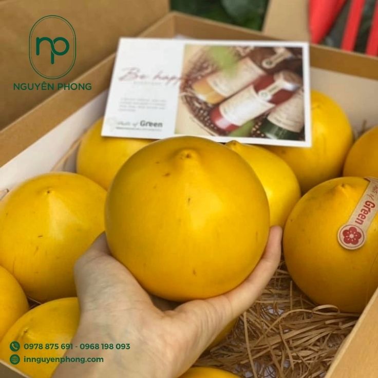 Mẫu thùng carton dạng âm dương đựng vú sữa làm quà tặng